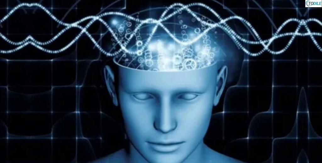 Read more about the article 6 Key Practices to Enhance Your Intelligence