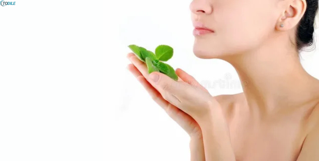 Read more about the article 8 Natural Mint Remedies to Heal Acne Scars Effectively