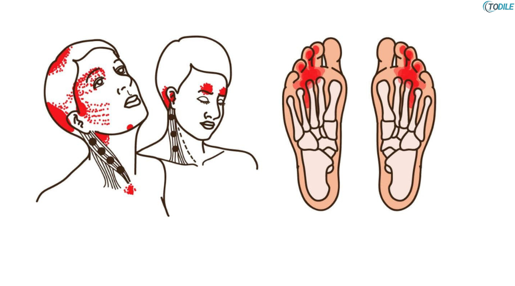 Read more about the article 5 Warning Signs of Vitamin B12 Deficiency You Should Never Ignore